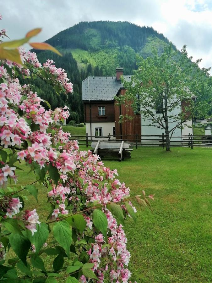 Sankt Nikolai im SölktalHimmlisch Urlauben St. Nikolaiアパートメント エクステリア 写真